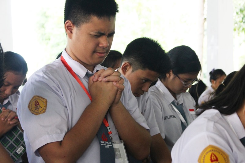 MOPDB3